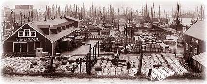 Salteriet Sunna - mastene i baggrunnen - tønner tomme og fulle. Lageret nede og boliger for sildedamene oppe. Foto: Sildemuseet Siglufjord