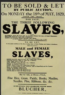 Slaveriet og utryddelsen av urbefolkningen dannet grunnlaget for America first